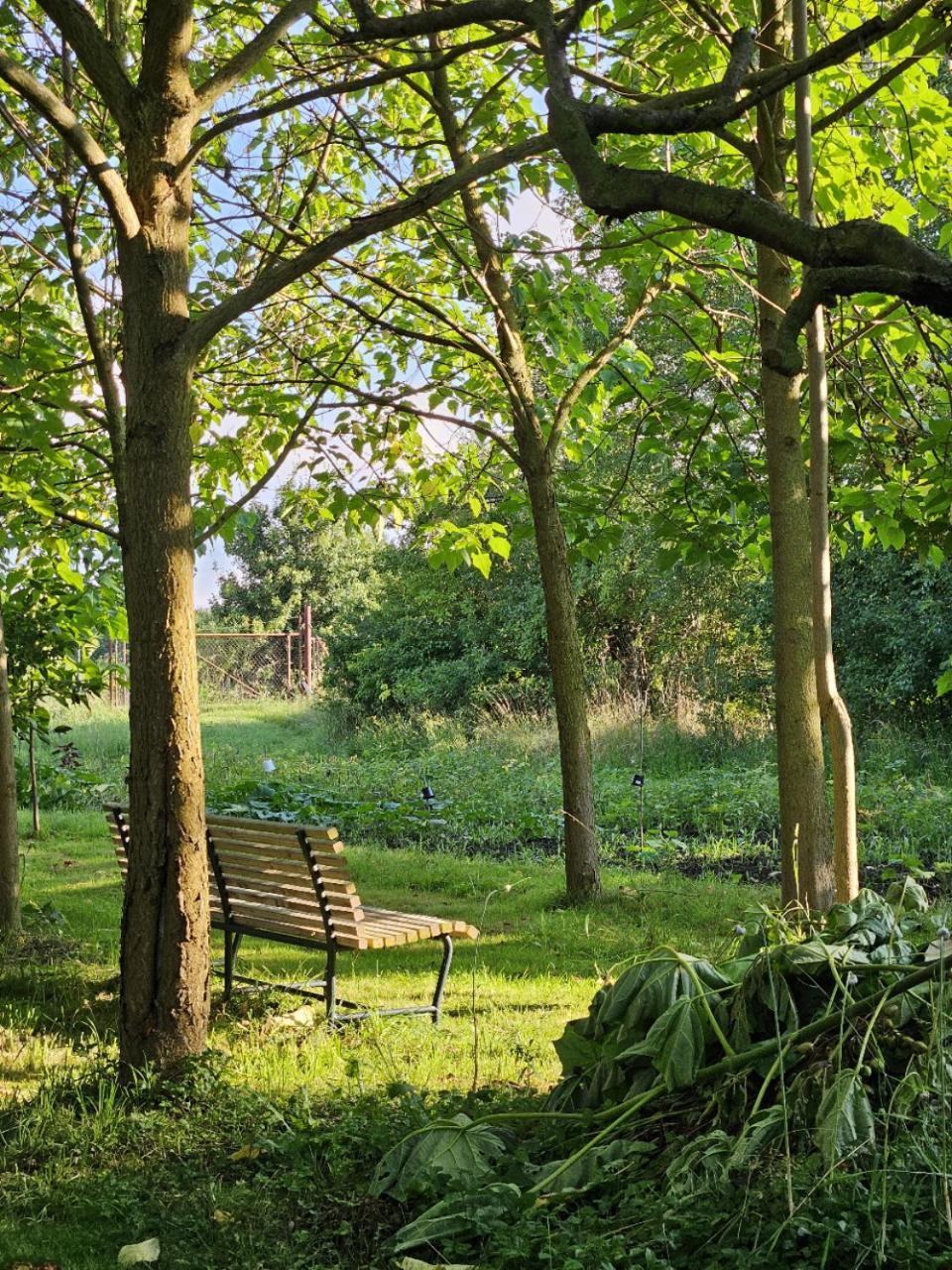 Gartenhaus Schlanstedt Huy Zewnętrze zdjęcie