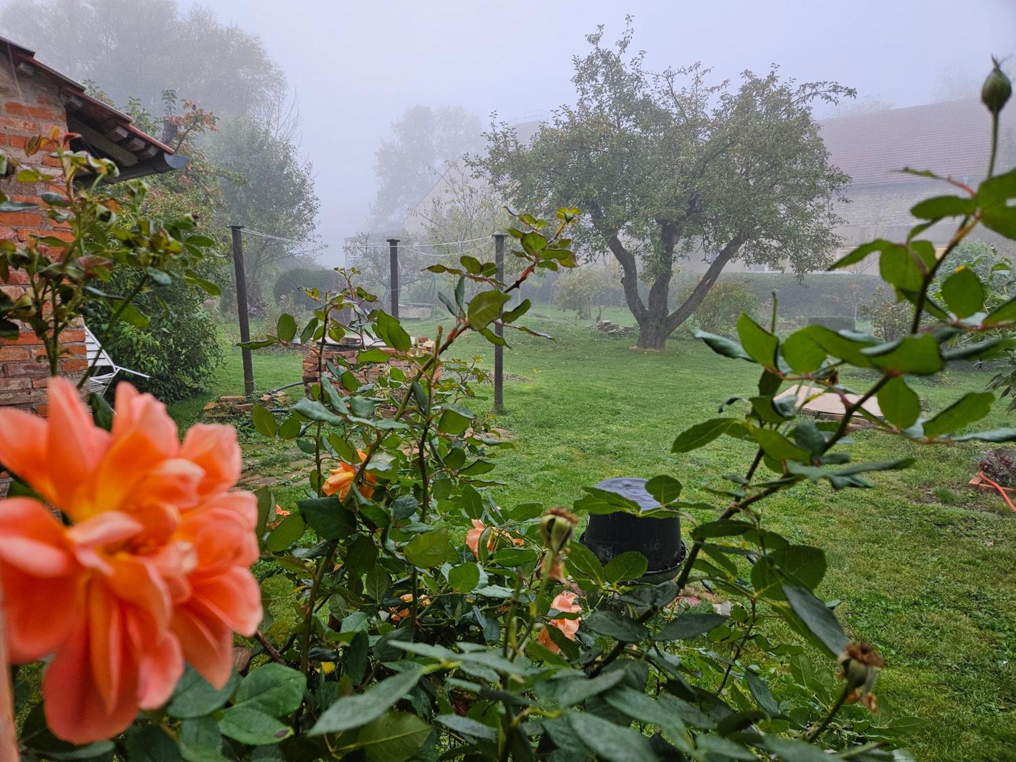 Gartenhaus Schlanstedt Huy Zewnętrze zdjęcie